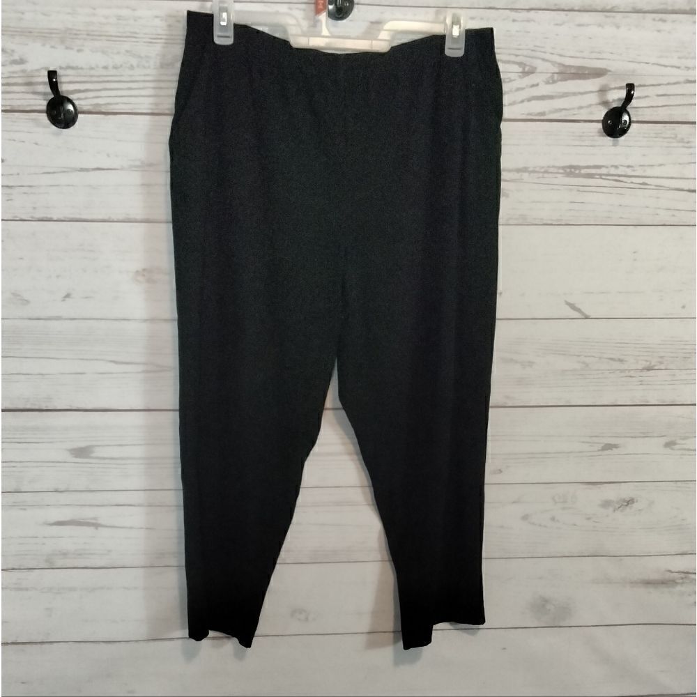 Briggs New York (petite) woman's stretch pants